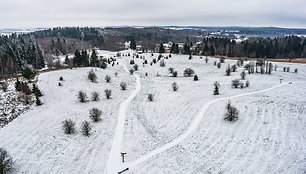 Panorama nuo Šiaulės apžvalgos bokšto