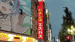 Žilvino Žebrausko įspūdžiai i&scaron; Japonijos