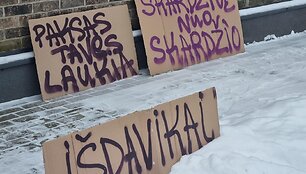 Druskininkai pasitinka Žemaitaitį
