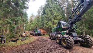 Protestas &Scaron;imonių girioje