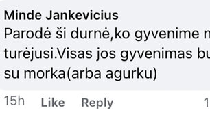 Po Remigijaus Žemaitaičio įra&scaron;u socialiniame tinkle &ndash;&nbsp;patyčių lavina