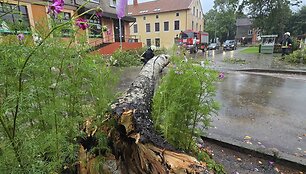Audros epicentras atslinko į &Scaron;ilutę