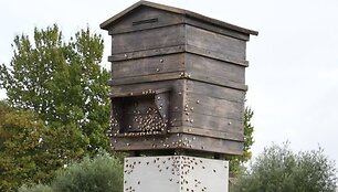 Paminklas &bdquo;Latvijos laisvės avilys&ldquo;