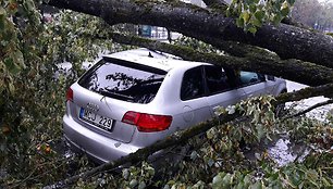 Lazdynuose medis užvirto ant automobilio