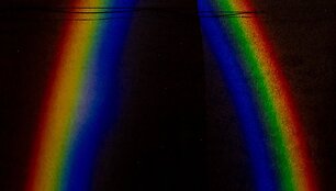 Romos Salės ir Elenos Laurinavičiūtės paroda &bdquo;Low Frequency Memory&ldquo; 