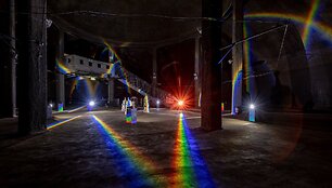 Romos Salės ir Elenos Laurinavičiūtės paroda &bdquo;Low Frequency Memory&ldquo; 