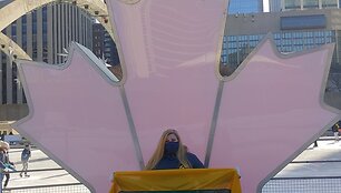 Torontas 