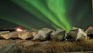 &Scaron;iaurės pa&scaron;vaistė