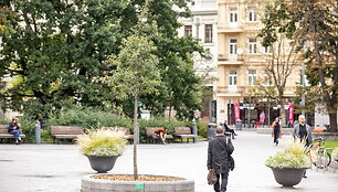 Vilnius