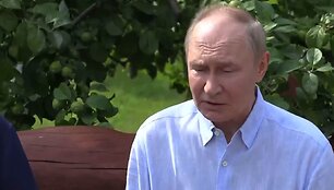Vladimiras Putinas