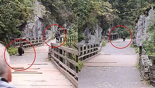 Me&scaron;ka Lenkijos kalnuose nusivijo turistą