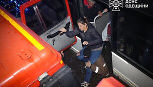 Liūtis Odesoje