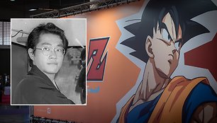 Akira Toriyama