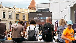 &bdquo;Sidabrinės gervės naktys&ldquo;