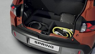 &bdquo;Dacia Spring&ldquo;