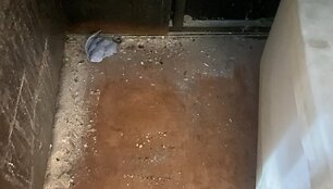 VMVT inspektoriai gavę prane&scaron;imą apie apsinuodijimo maistu atvejus patikrino kebabinę Kaune