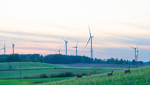 Lietuvos vėjo energetikai &ndash; 20 metų: nuo pirmųjų žingsnių iki energetinės nepriklausomybės