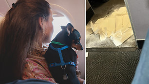 Šuns kelionė lėktuvu baigėsi nesėkmingai