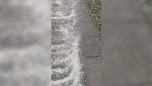 691b1c34f3781_video_691b1c12426b8
