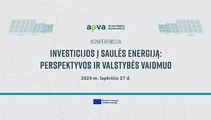 investicijos-i-saules-energija-ir-elektromobiluma-perspektyvos-ir-valstybes-vaidmuo