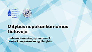 mitybos-nepakankamumas-lietuvoje-problemos-mastas-sprendimai-ir-naujos-kompensavimo-galimybes-673215b9c9abb