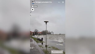 neringos-savivaldybe