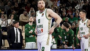 Ignas Brazdeikis