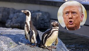 Donaldas Trumpas