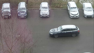 Sniegas Vilniuje