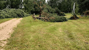 Audros padariniai Varėnos raj. / Genionių kaime