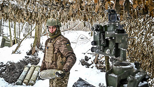 Ukrainos karys