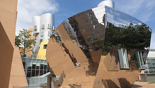 MIT Stata centras. Kompiuterijos mokslo ir dirbtinio intelekto laboratorija, architektas Frank Gehry