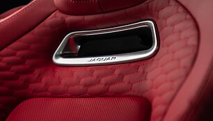 Jaguar F-TYPE interjero medžiagos