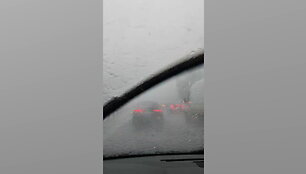 didele-liutis-trukde-ir-vairuotojams-automobiliai-vos-judejo