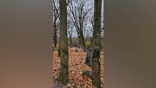 kaunieciai-piktinosi-per-velines-salia-kapiniu-vykusiu-triuksmingu-raliu