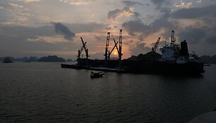 Vietnamas