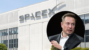 Elonas Muskas