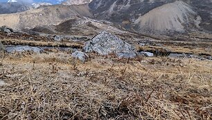 Pavienės &scaron;iuk&scaron;lės Honku slėnyje (Nepalas, 2026 m.)