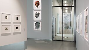 &bdquo;Stasys Museum&ldquo; gimtadienį minės tris dienas: susijungs menas, edukacijos ir breiko kultūra