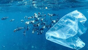 Plastiko įtaka klimato kaitai &ndash; susirūpinimą kelia ir gamyba, ir tar&scaron;a atliekomis