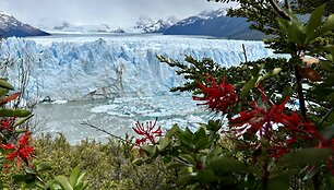 Meilė Argentinai &ndash; i&scaron; pirmo žvilgsnio: užburianti gamta, nepakartojami skoniai ir svaiginantis tango