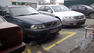 Geltonoji linija