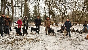Medžioklinių &scaron;unų rikiuotė