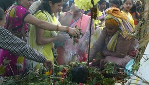 Vyksta malda