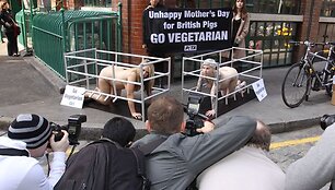 Fotografai paveiksluoja protesto akciją.