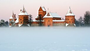 Trakų pilis