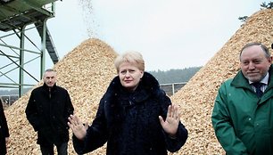 D.Grybauskaitės viltis, kad šilumą atpigins nepriklausomi tiekėjai, gali ir neišsipildyti. 