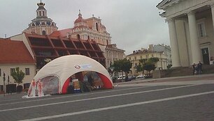 Kraujo akcija Rotu&scaron;ės aik&scaron;tėje