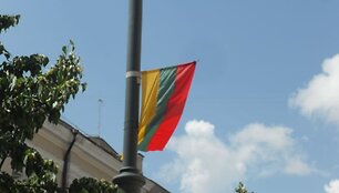 Lietuvos vėliava Gedimino prospekte Vilniuje