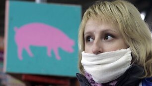 Bijote kiaulių gripo?